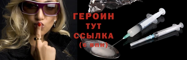 гидра Покачи