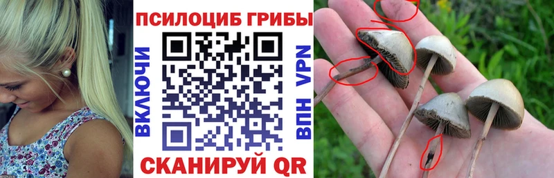 Псилоцибиновые грибы Psilocybe  как найти закладки  darknet телеграм  Краснокамск 